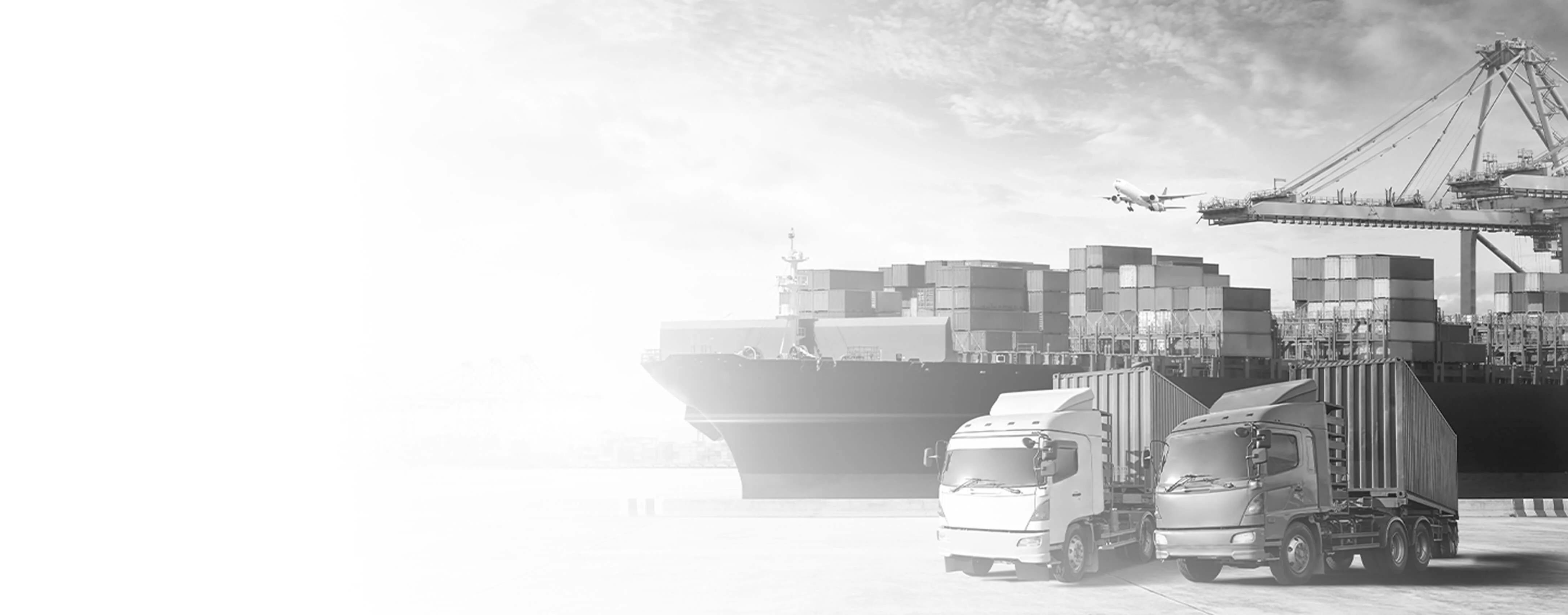 Custom Logistics Software Development Company