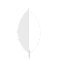 MongoDB