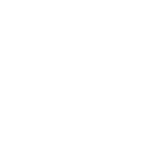 YOLO
