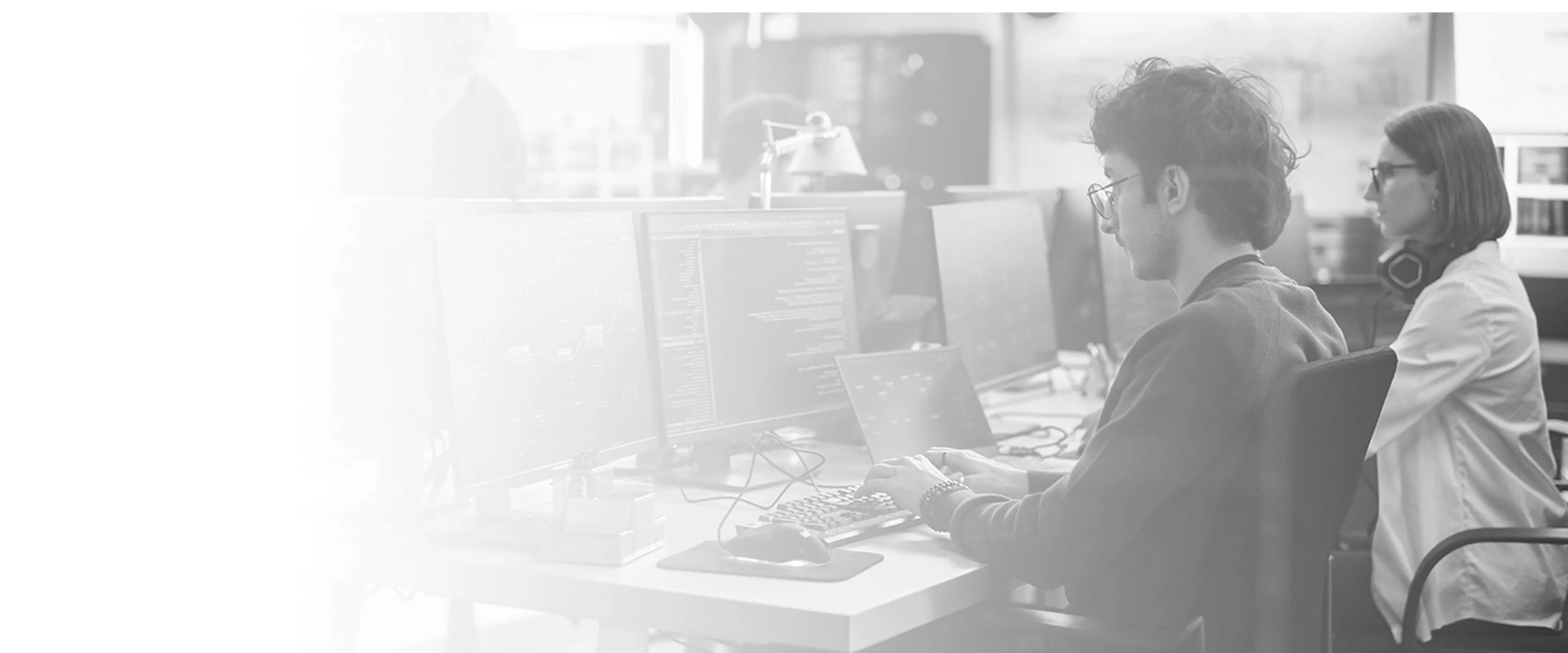 Web Design and Development Services